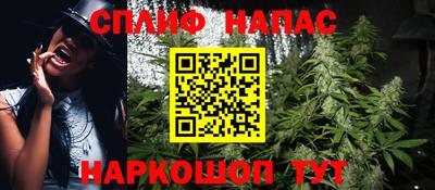 твердый Будённовск